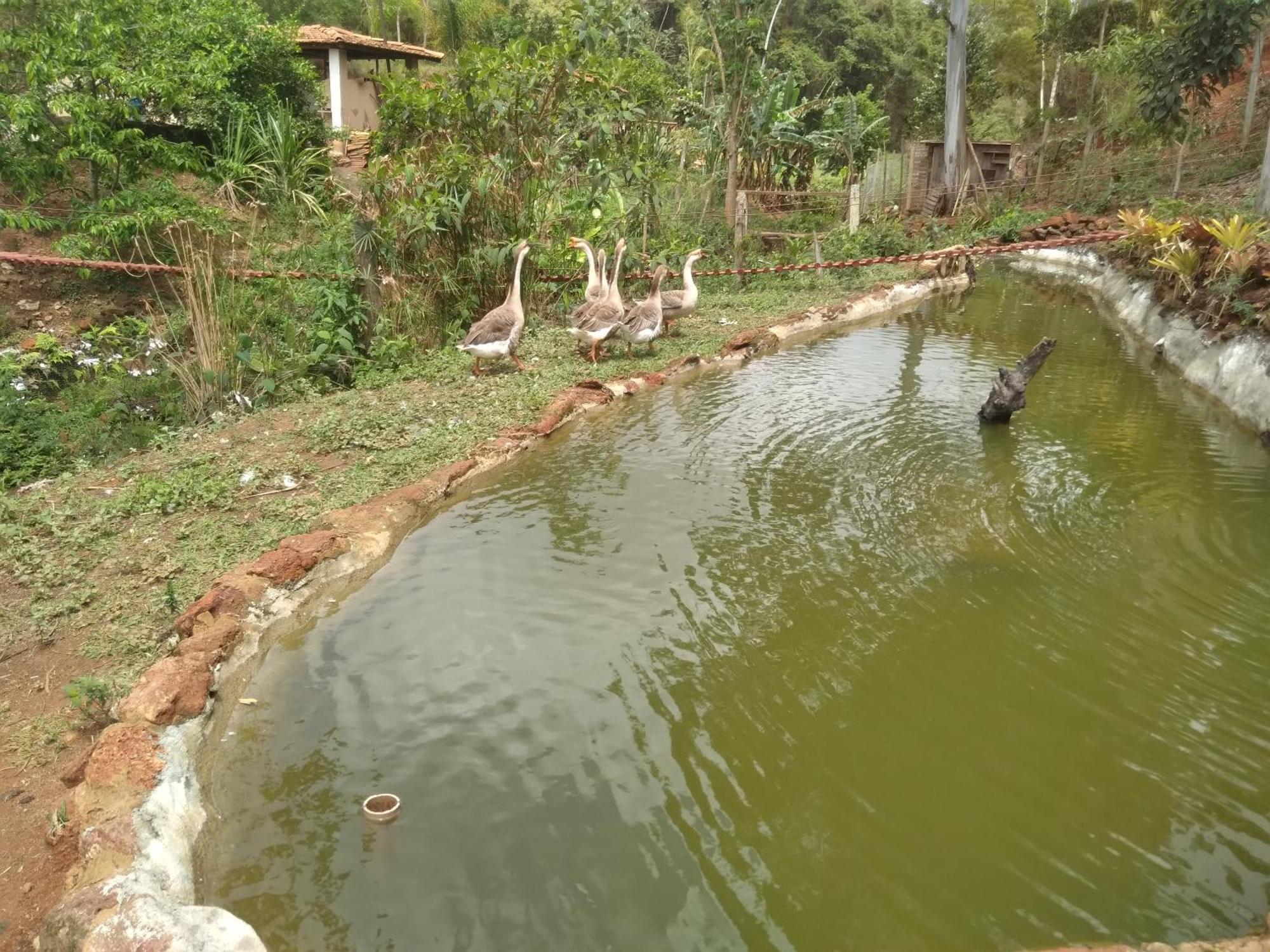 Sitio Reis Membeca Paraíba do Sul Exterior foto
