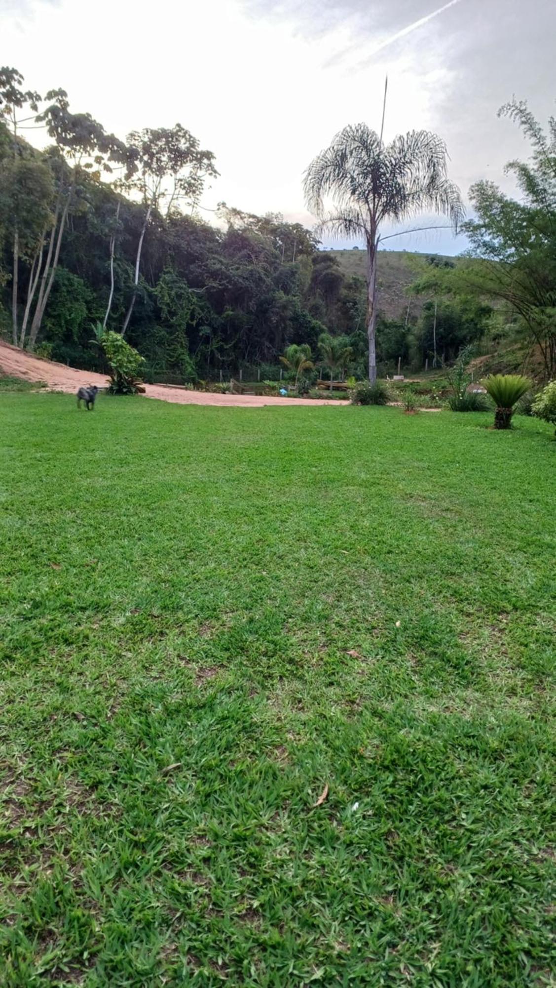 Sitio Reis Membeca Paraíba do Sul Exterior foto